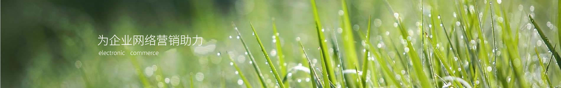 ൺɽƼ޹˾